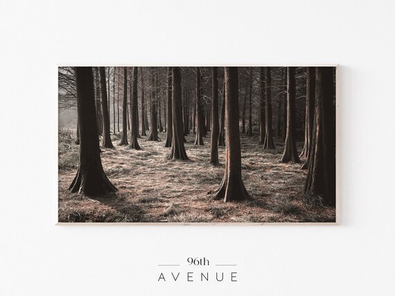 Halloween Scary Forest Art Print