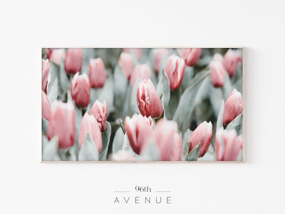 Spring Tulips For Frame TV Art Print