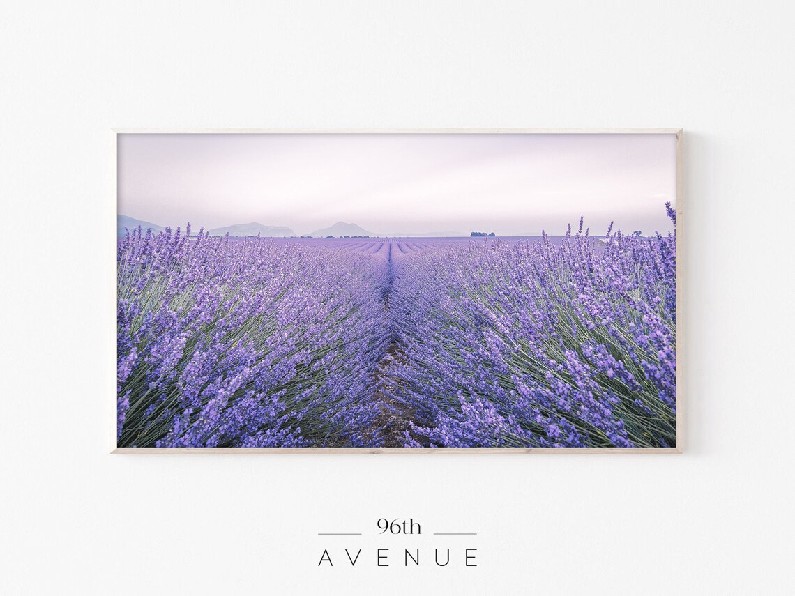 Lavender Fields TV Art, Abstract Modern Poster