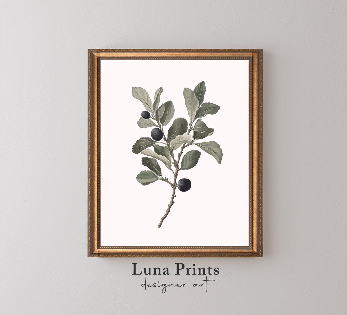Neutral Vintage Botanical Print Art Sage Green Wall Decor Antique Illustration Fig Stem 11417
