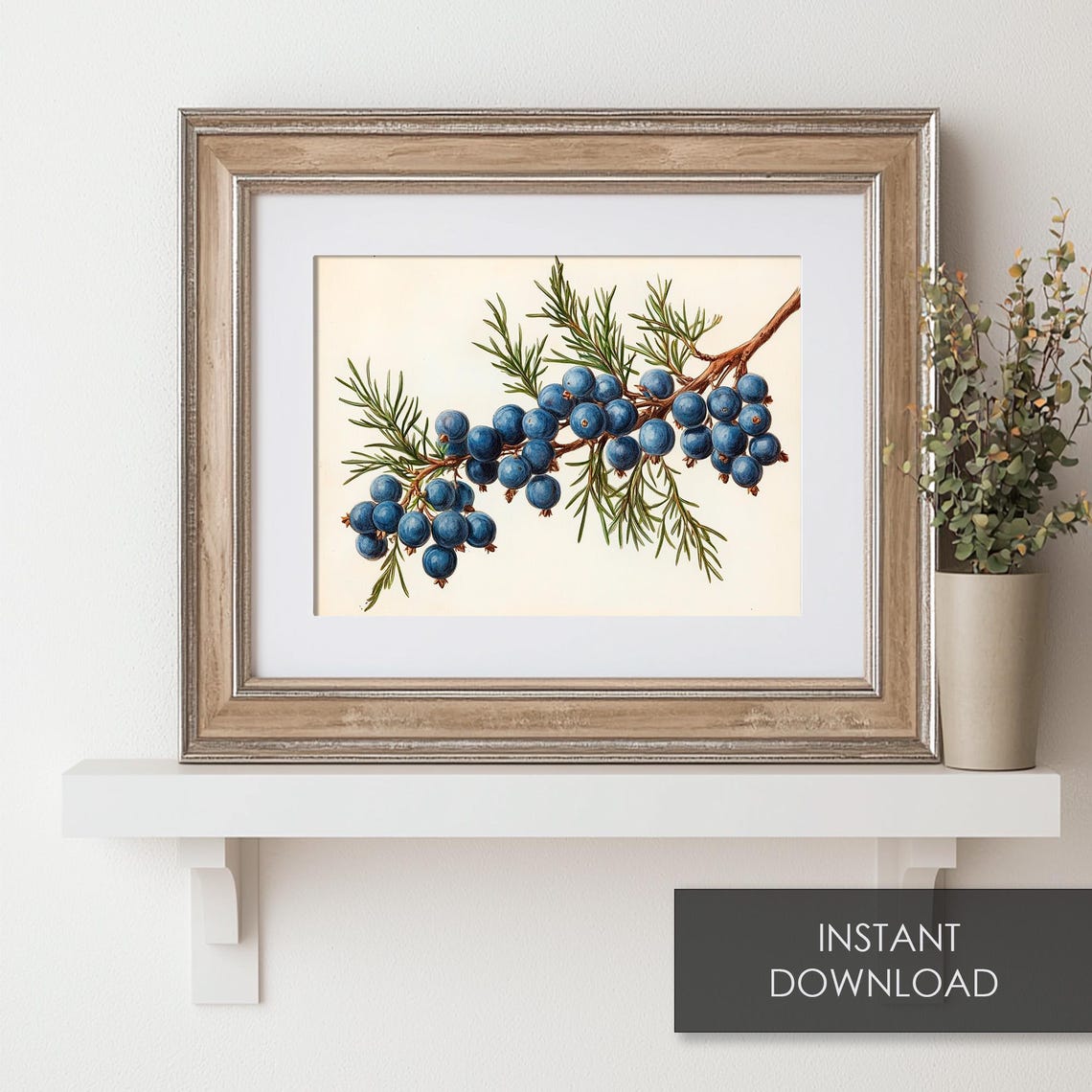 Vintage Juniper Branch Botanical Blue Berries Christmas Print - Image 6