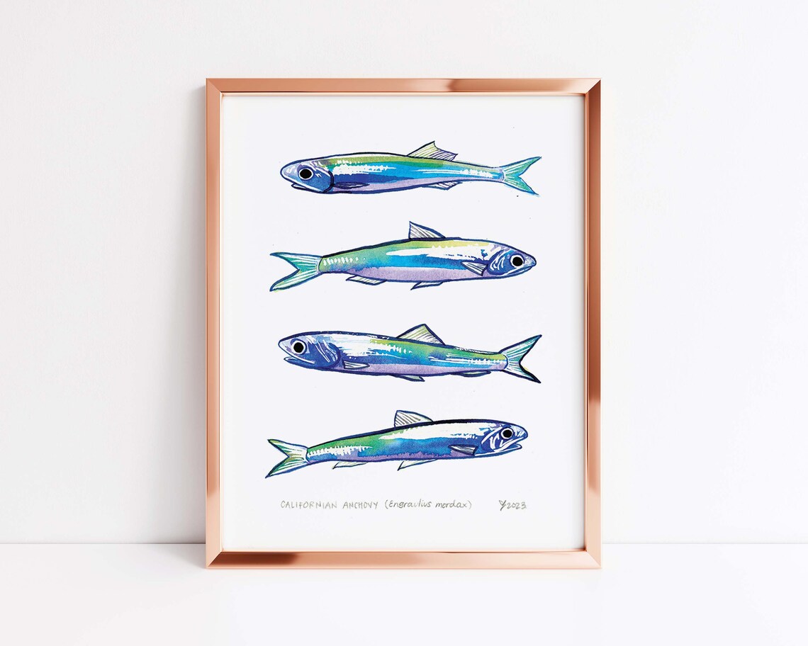 Anchovy Print For Kitchen Modern Fish Decor Perfect For Gallery Wall Display