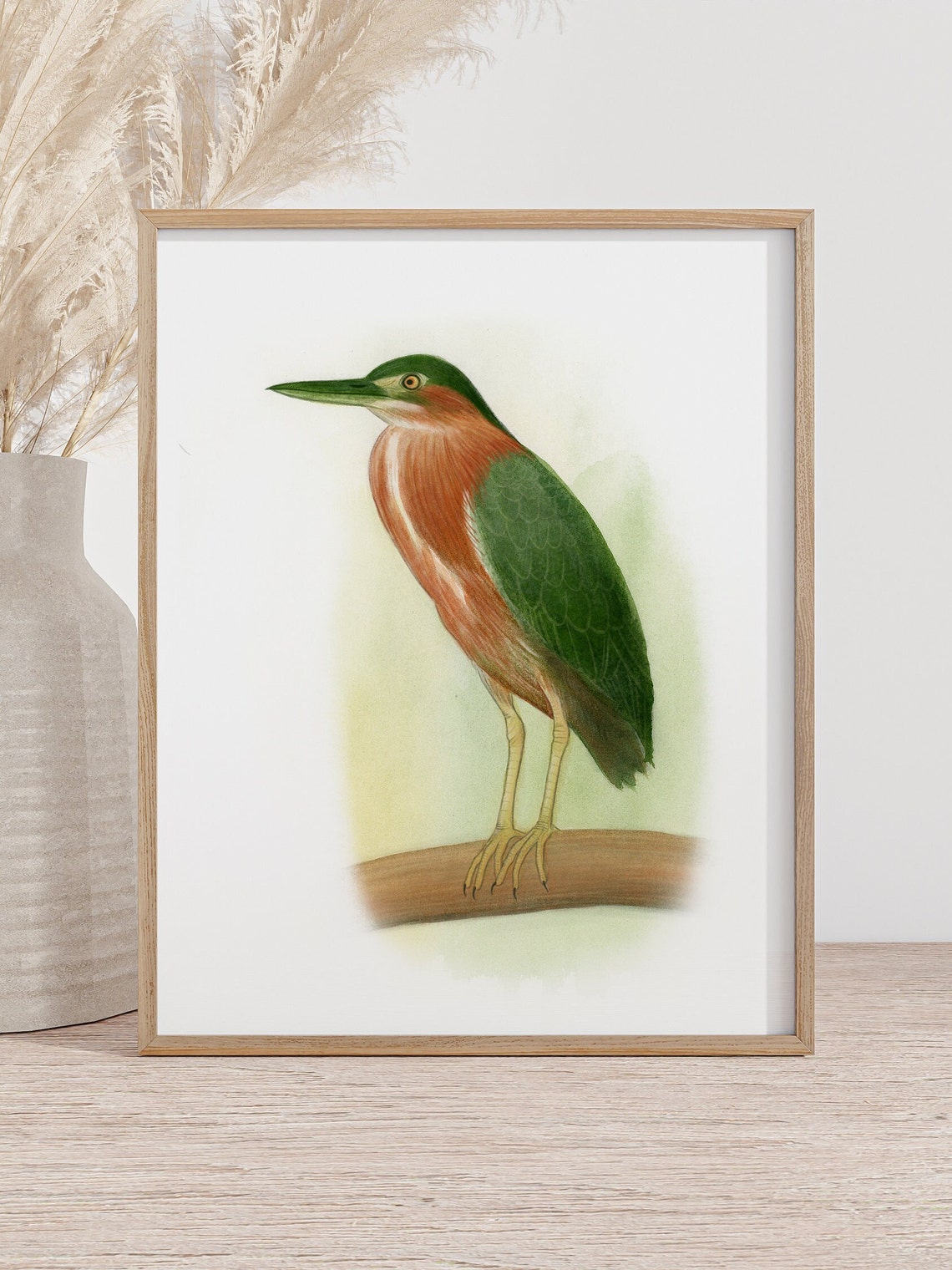 Green Heron Perched on a Wooden Branch Watercolor Bird Poster