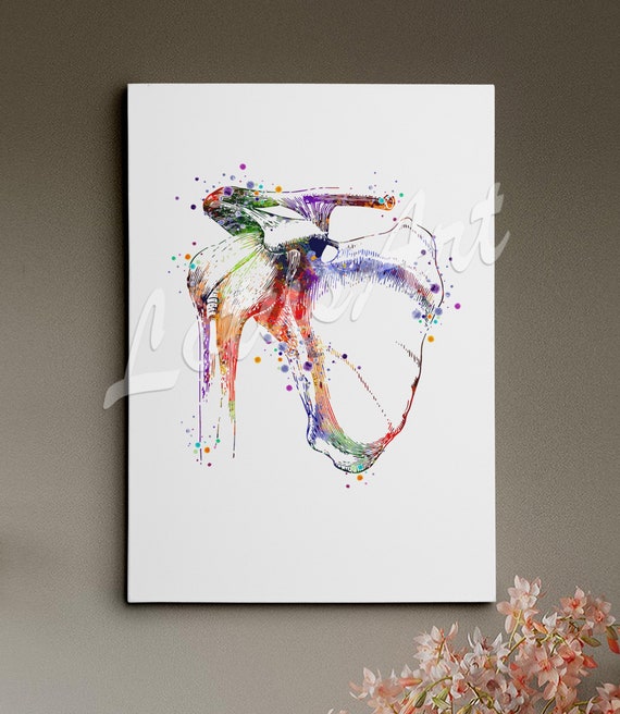 Shoulder Joint Anatomy Watercolor Print Human Medical Clinic Wall Art Decor Personalised Gift