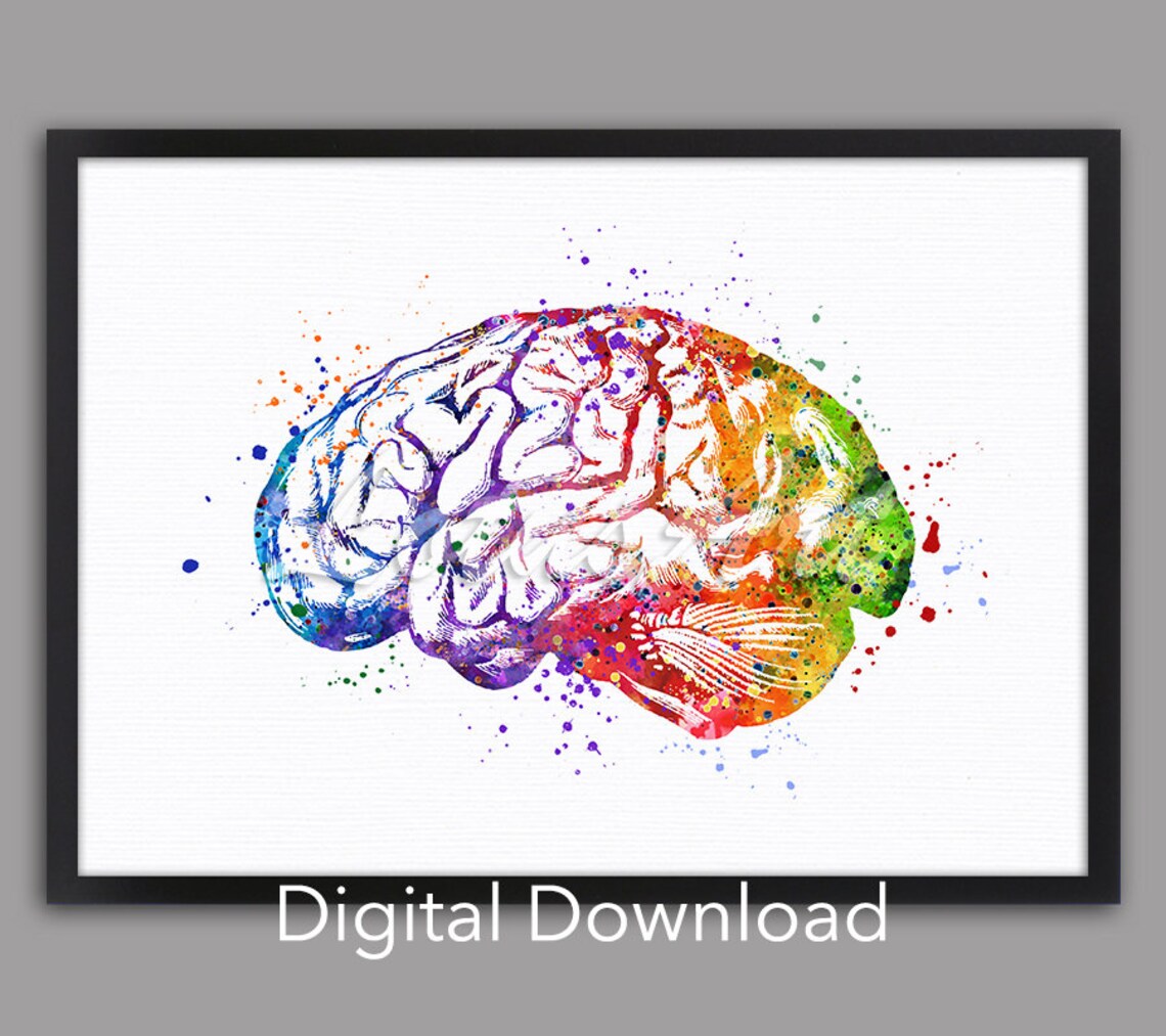 Brain Anatomy Watercolor Poster, Neurology Decor