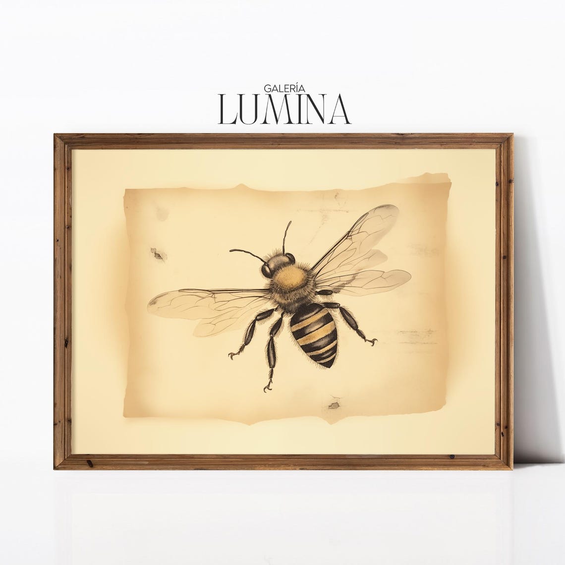 Vintage Bee Drawing Rustic Insect Sketch Antique Botanical Animal Illustration Entomology Art Print Art Frame Tv Art 893