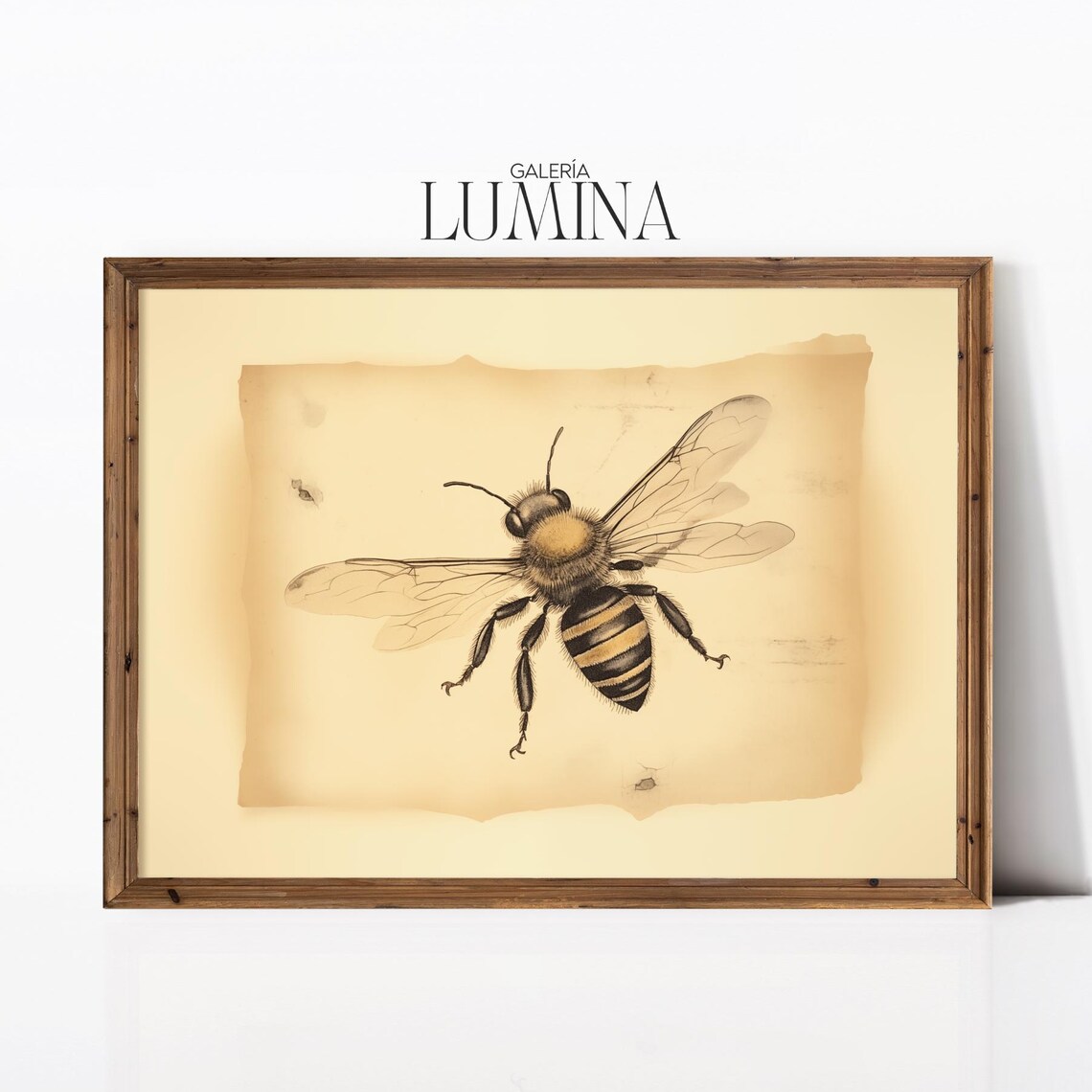 Vintage Honeybee Entomology Sketch Aged Paper Insect Art Poster