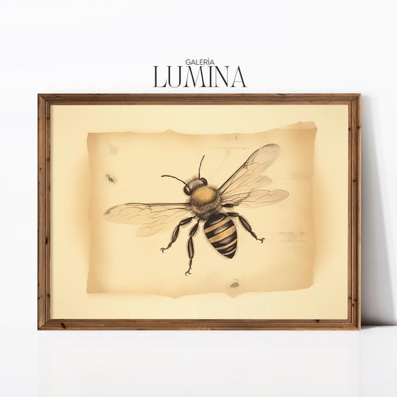 Vintage Bee Drawing Rustic Insect Sketch Antique Botanical Animal Illustration Entomology Art Print Art Frame Tv Art 893