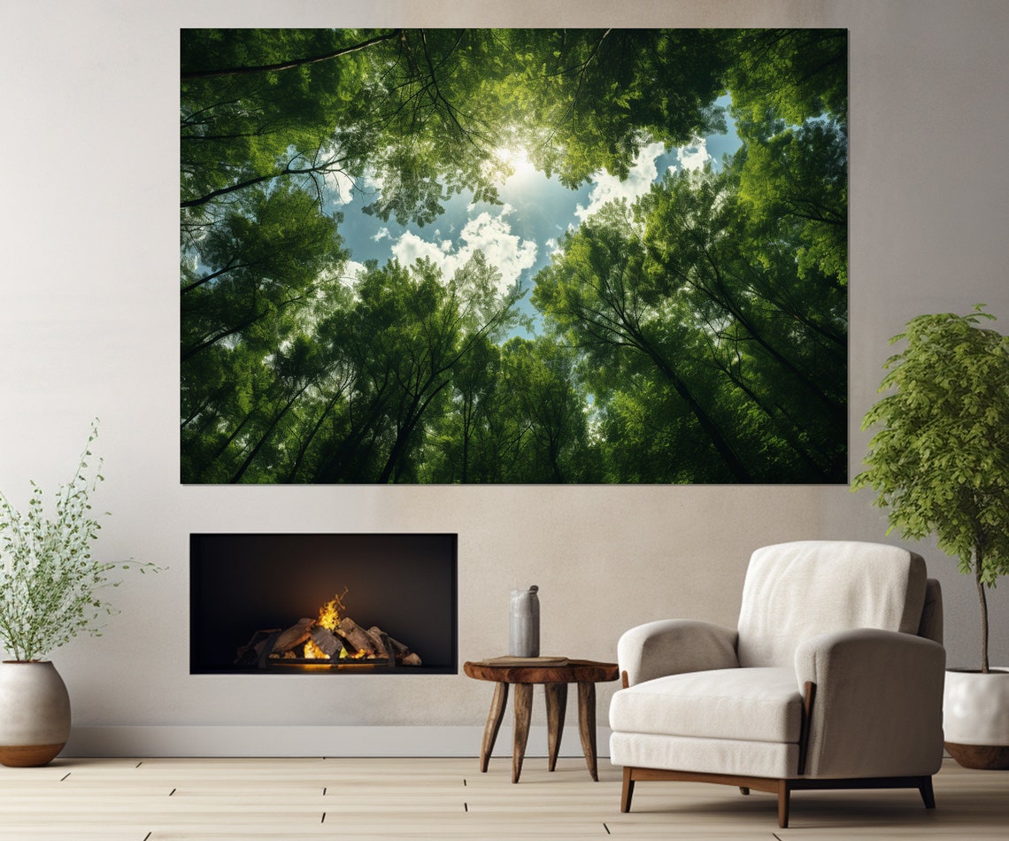 Sunlight Streaming Through A Lush Green Forest Canopy Poster