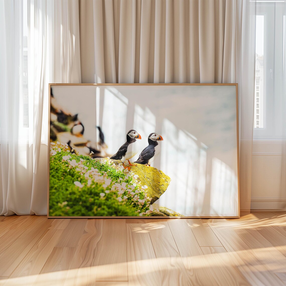 Atlantic Sea Puffins, Irish Coastline Art Print - Image 4