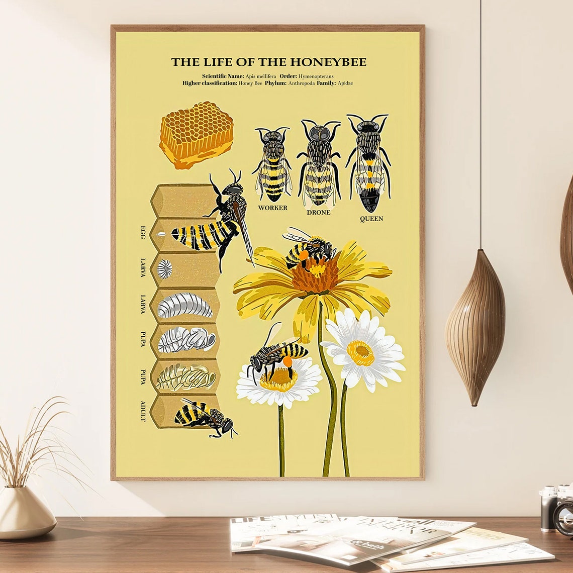 The Life of the Honeybee Educational Lifecycle Anatomy Chart Poster - Image 3