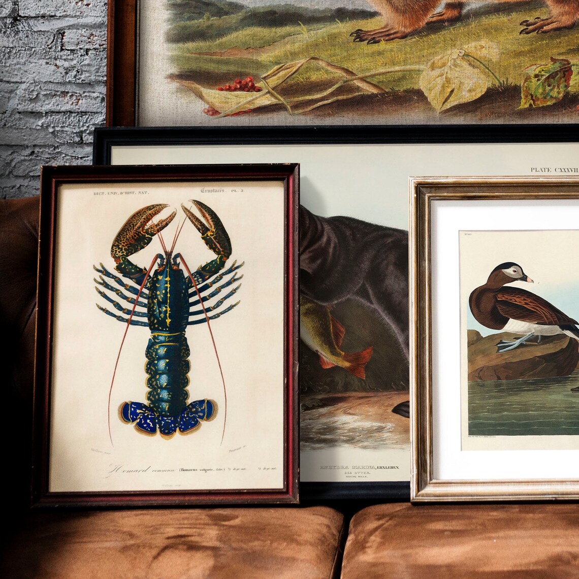 Crawfish Antique Print Illustration, Vintage Fish Poster - Image 2