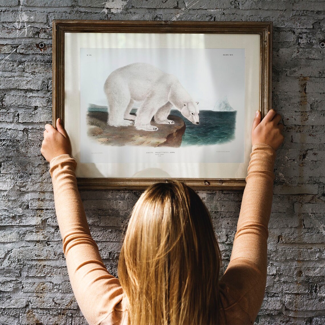 Polar Bear Antique Animal Painting, Vintage Art Print - Image 3