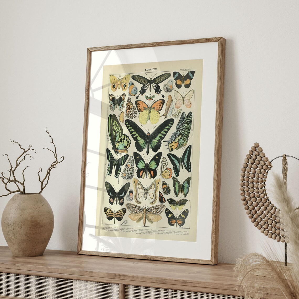 Adolphe Millot Butterfly Vintage Botanical Art Poster - Image 4