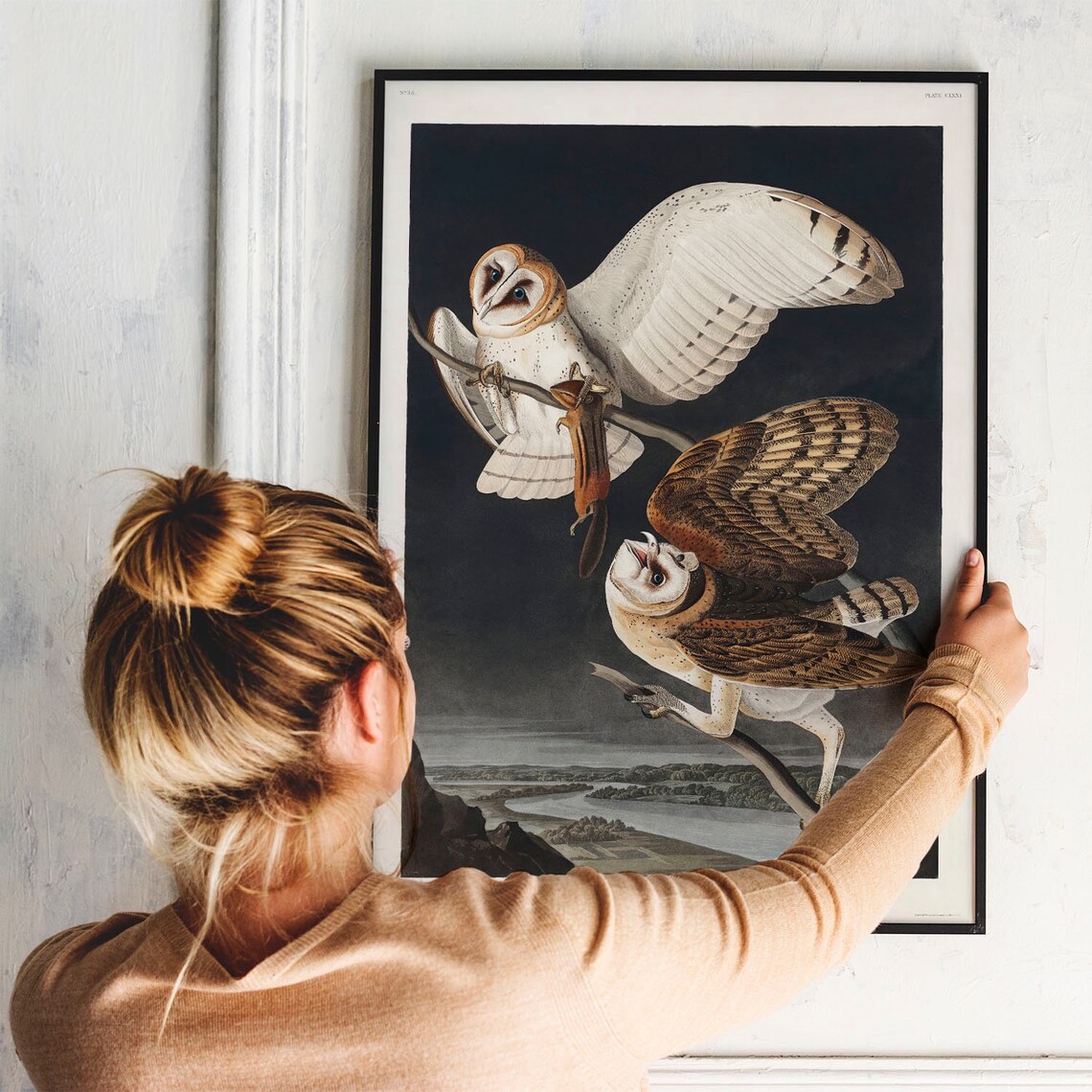 Barn Owl Antique Bird Painting Vintage Poster - Image 3