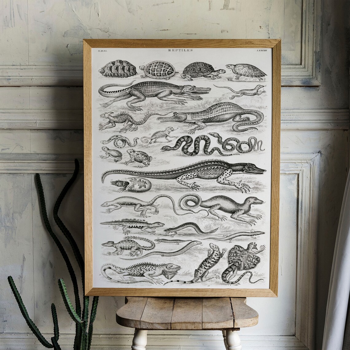 Reptile Collection Antique Animal Vintage Art Print - Image 3