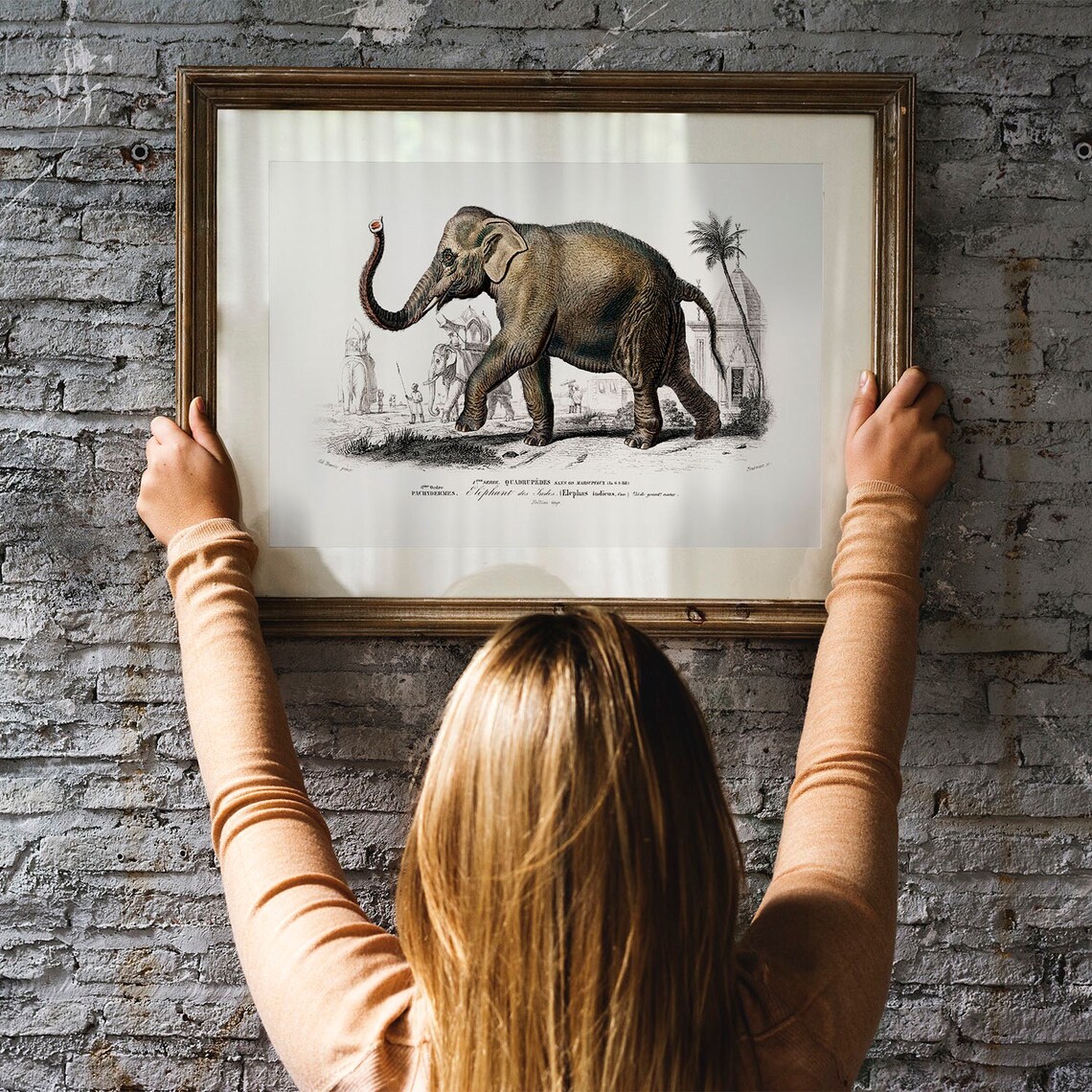 Elephant Antique Animal Drawing, Vintage Poster - Image 3