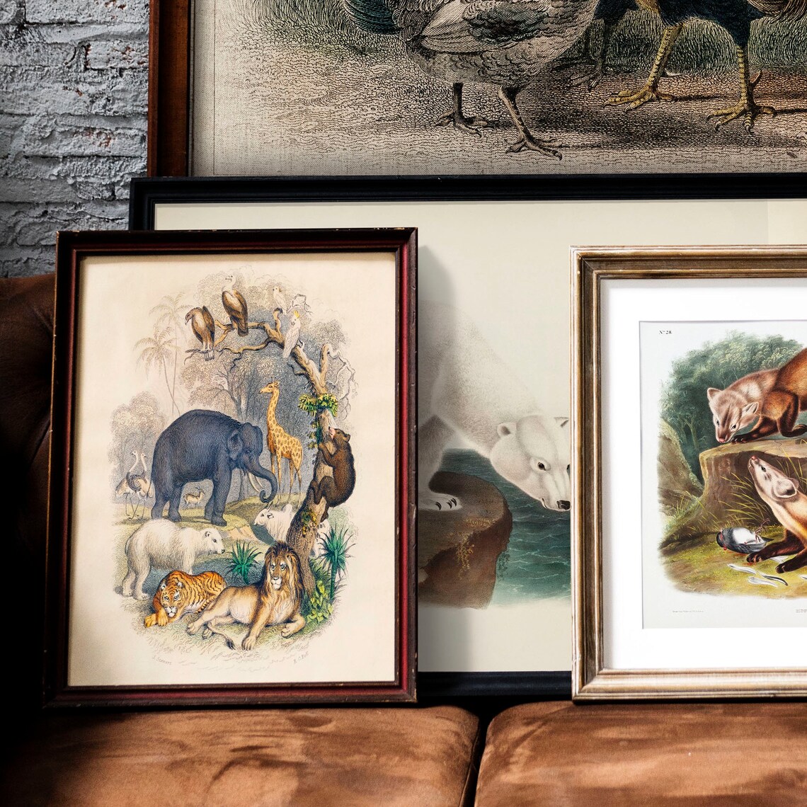 Animal Drawing Print, Antique Vintage Drawing Poster - Image 2