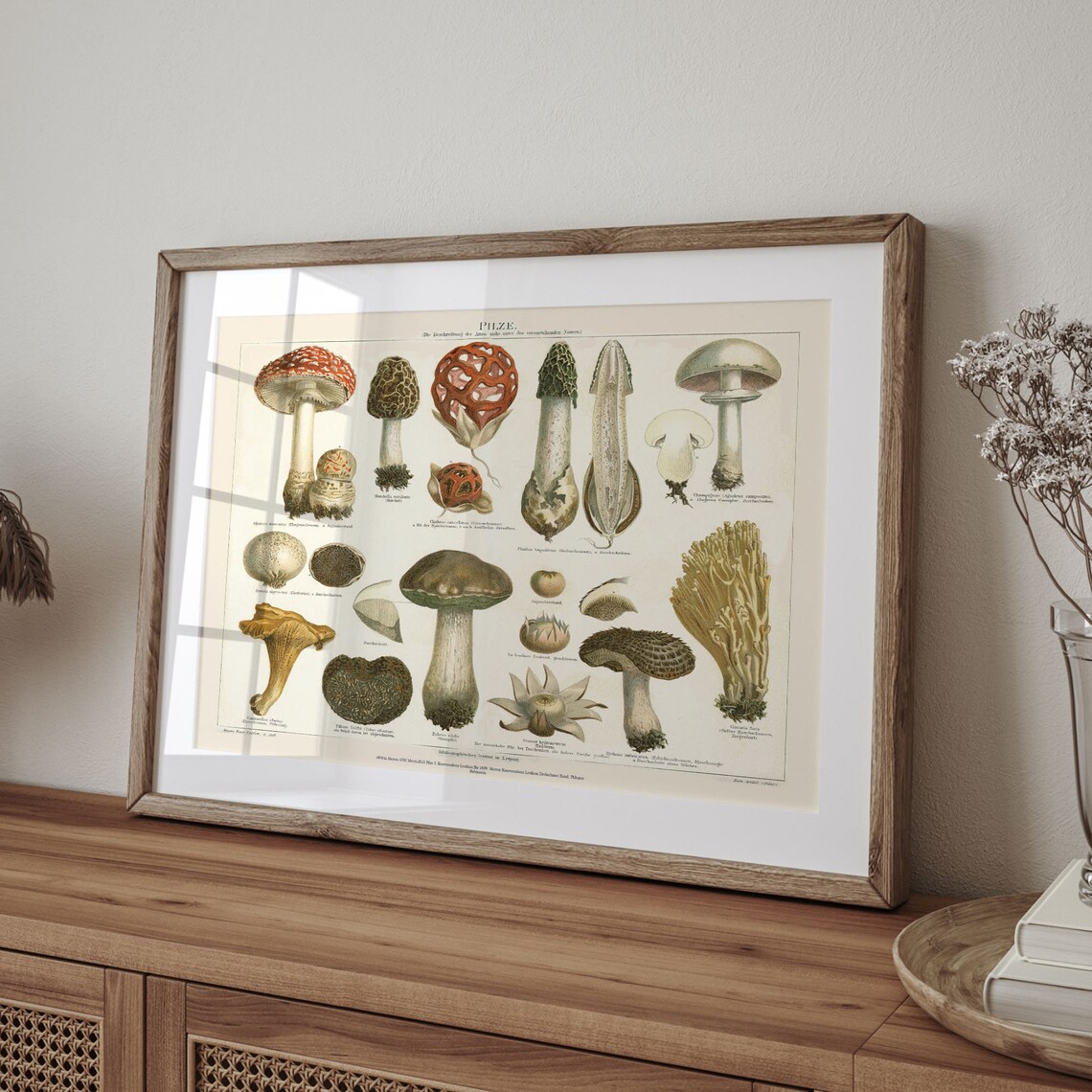 Meyers Konversations Lexikon Mushroom Art Print