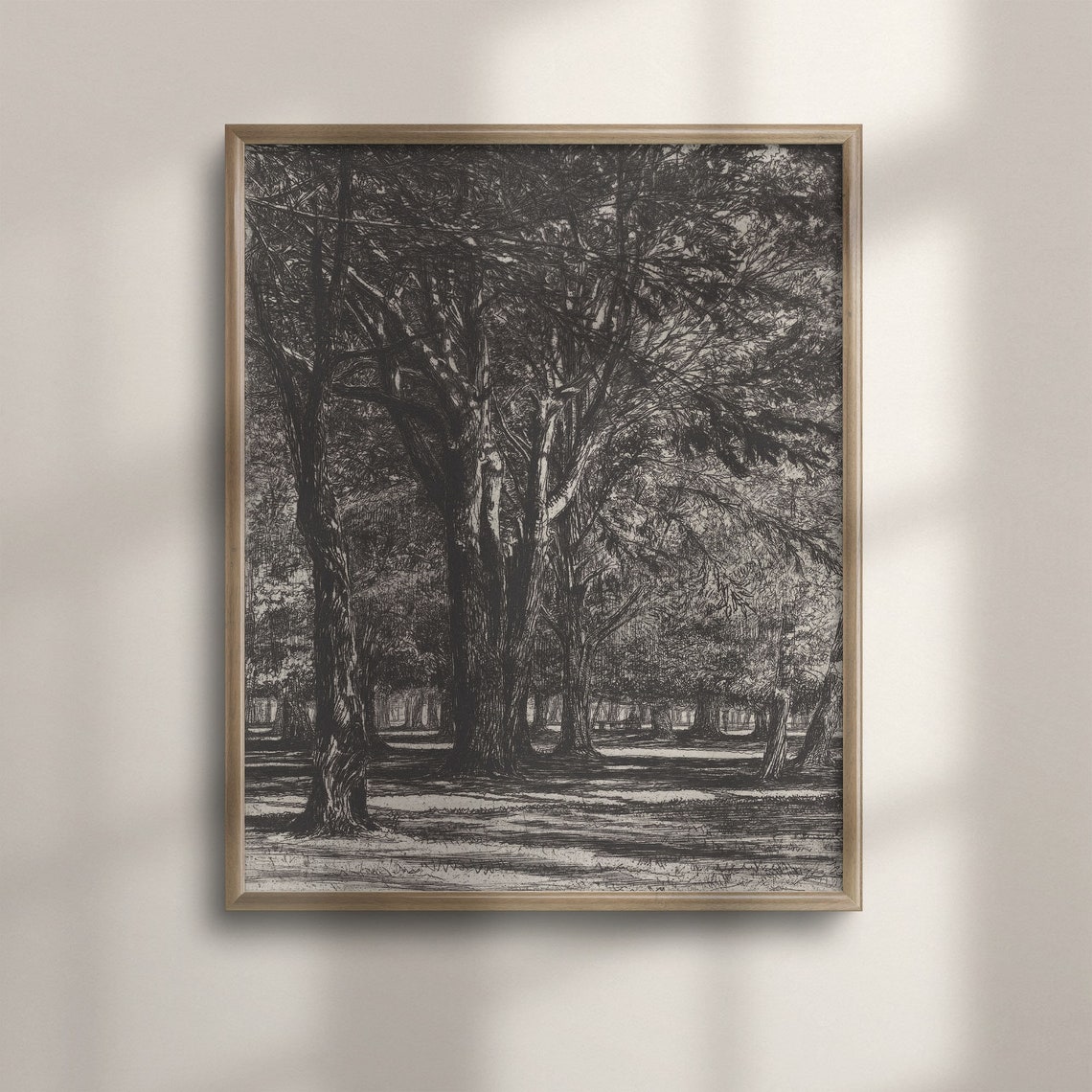 Antique Forest Trees Ink Sketch Rustic Woodland Drawing Art Poster