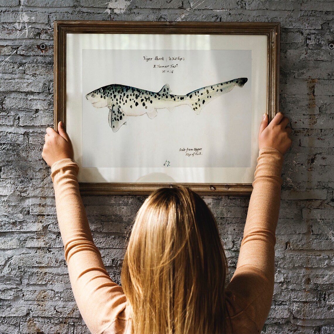 Tiger Shark Vintage Fishing Poster Art Print - Image 3