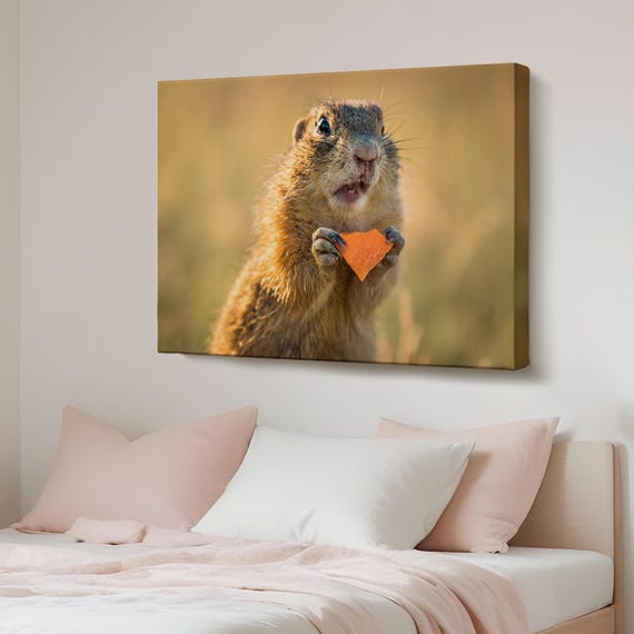 Surprised Squirrel Decorative Canvas Painting Wall Decor Gift For Nature Enthusiasts Animal Modern Art