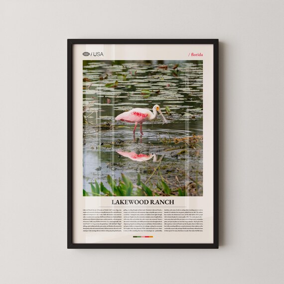 Lakewood Ranch Florida Roseate Spoonbill Wading Bird Travel Poster