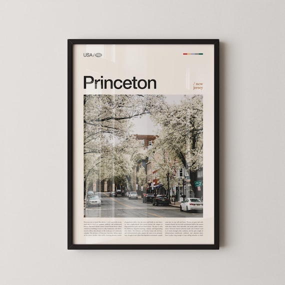 Princeton New Jersey Historic College Town Blossom Street Poster