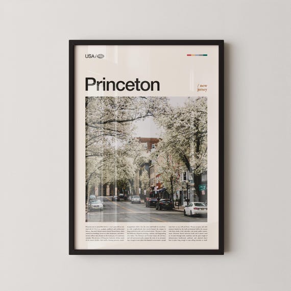 Princeton Print New Jersey Wall Art Poster Historic Town Photo East Coast Decor Scenic Urban Landscape