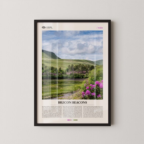 Brecon Beacons Wales Valley Wildflower Photography Travel Poster