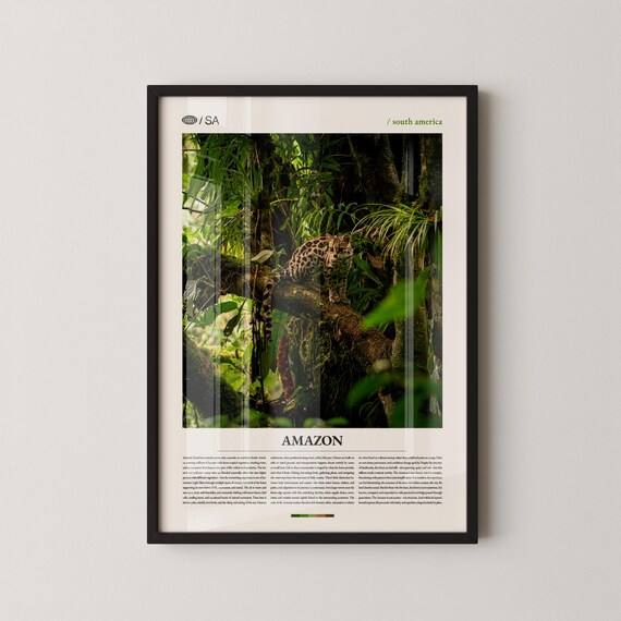 Amazon Rainforest Print Wall Art Poster Photography Tropical Jungle Landscape