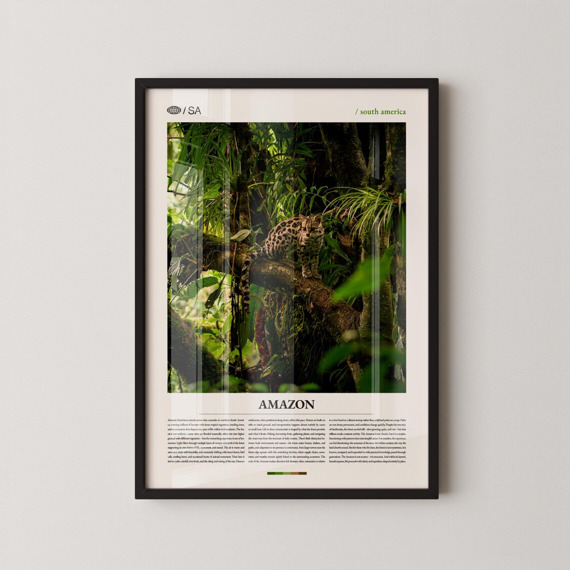 Amazon Rainforest Print Wall Art Poster Photography Tropical Jungle Landscape