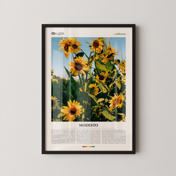 Modesto California Blooming Sunflowers Beautiful Scenic Travel Poster