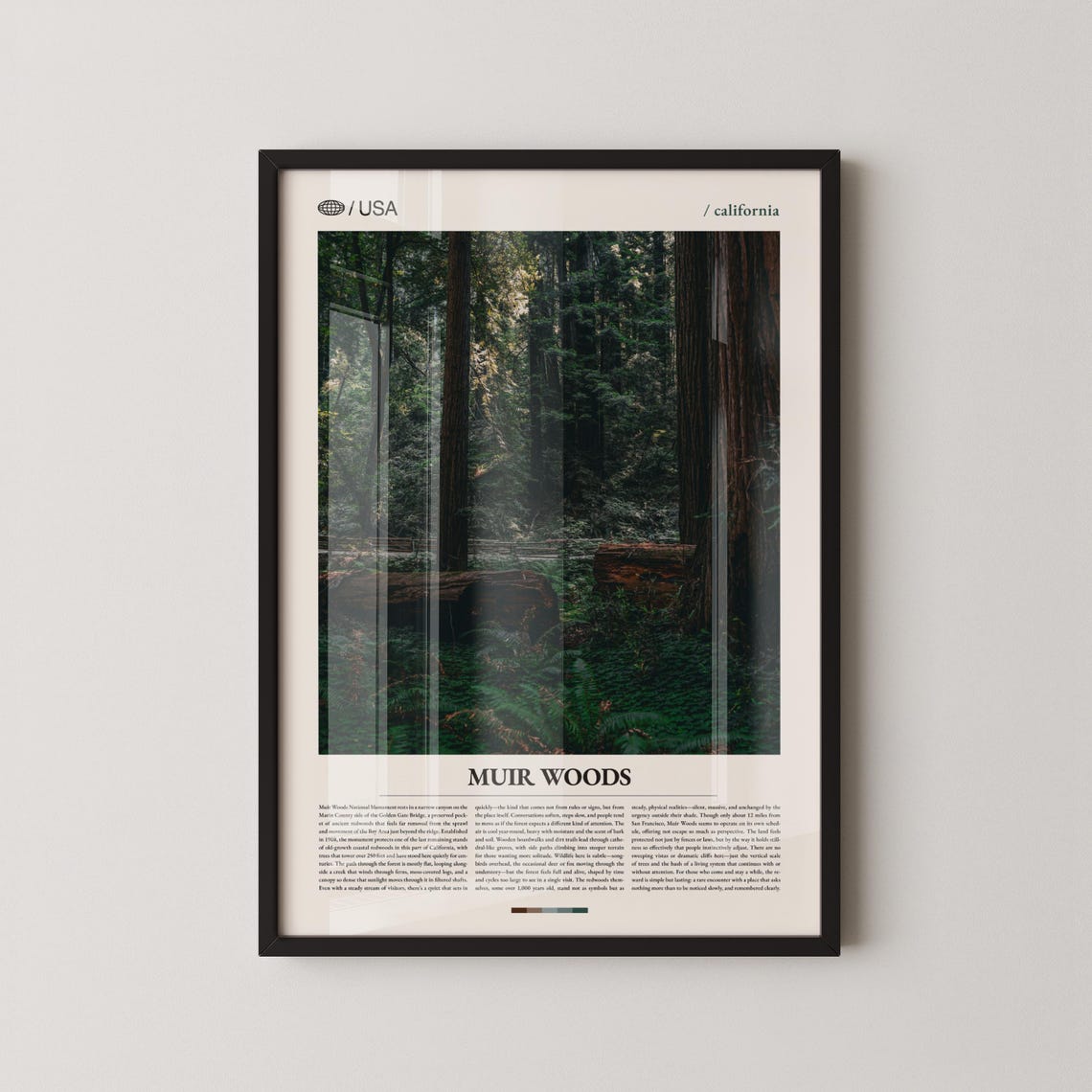 Muir Woods California Cathedral Grove Redwoods Photo Travel Poster