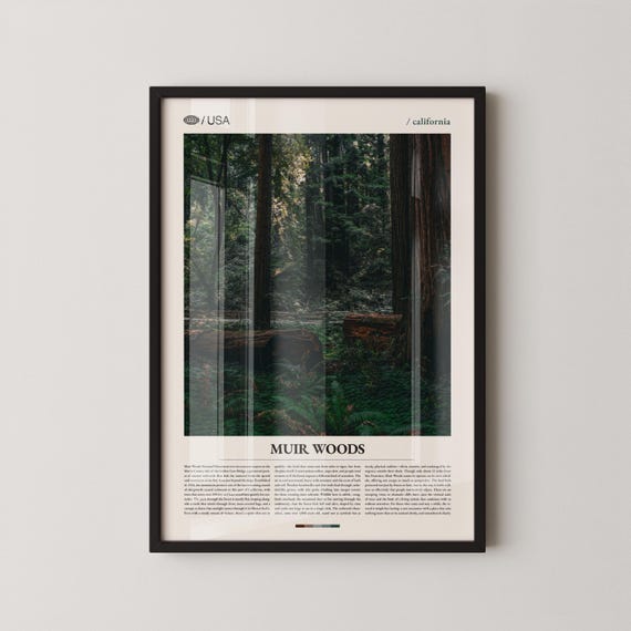 Muir Woods Print Wall Art Poster Photo National Monument Cathedral Grove