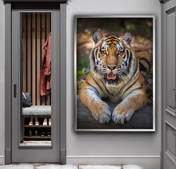 Wild Tiger Portrait Mouth Open Intense Wildlife Photography Poster