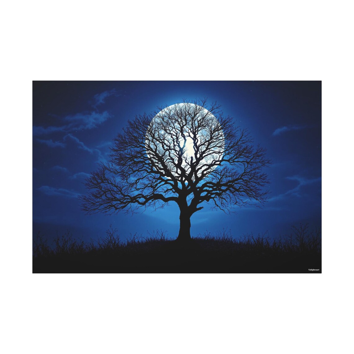 Tree Of Light - Nature Art Print - Image 3
