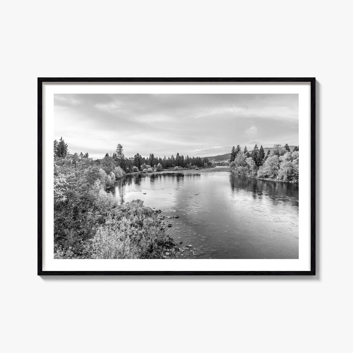 Spokane Washington River Pines Black and White Nature Poster