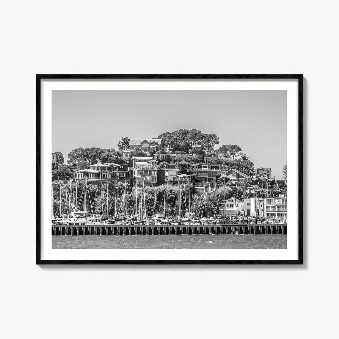 Marin County California Hillside Marina Sailboats Photo Poster