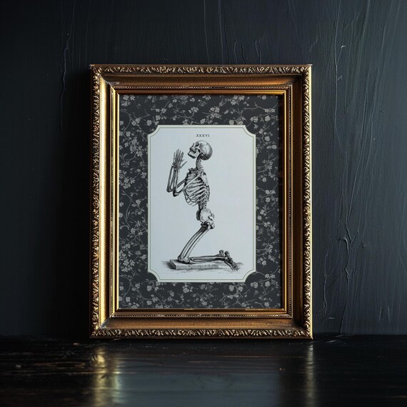 Praying Skeleton, Vintage Anatomy Illustration