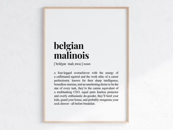 Belgian Malinois Funny Definition Print Cheeky Gift For Dog Parent Lover Art Humorous Dictionary Poster