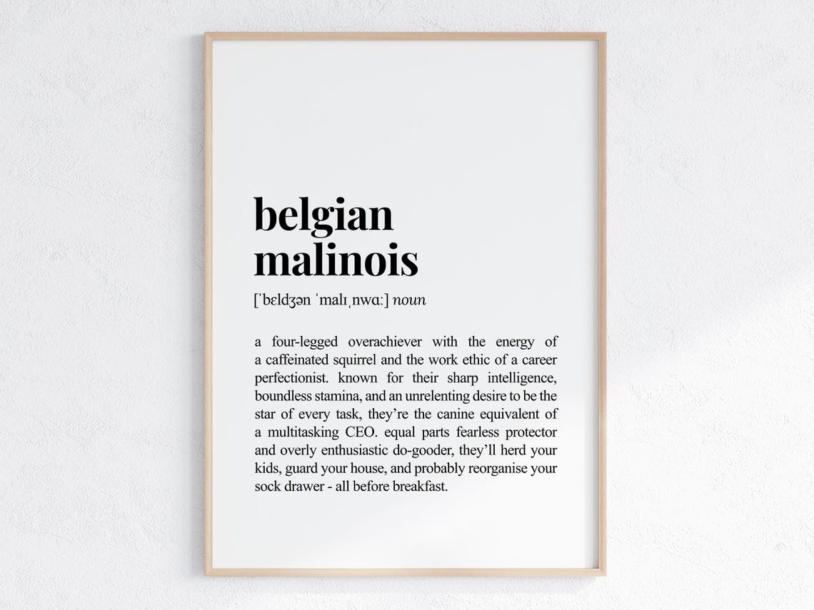 Belgian Malinois Funny Definition Print Cheeky Gift For Dog Parent Lover Art Humorous Dictionary Poster