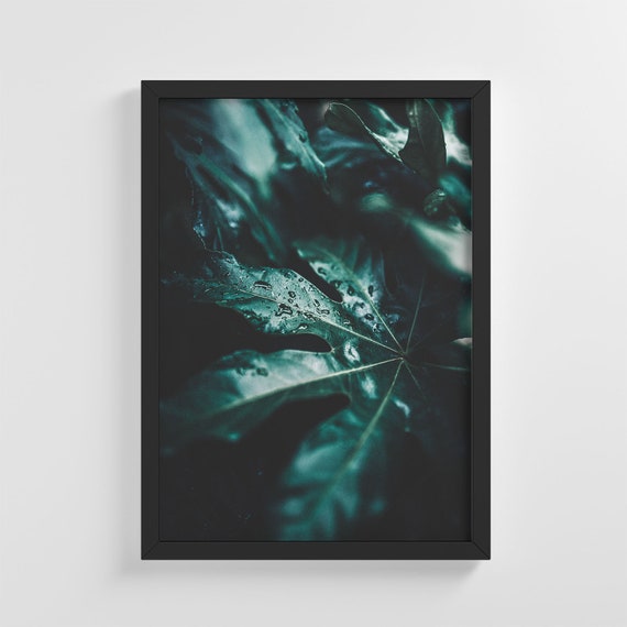 Wet Tropical Summer Green Leafs Frameless Poster Nature Art Print Stylish Home Decoration Wall Art Nursery Decor Living Room Ic120