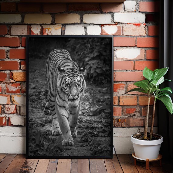 Tiger Art Bold Wildlife Canvas Print Black And White