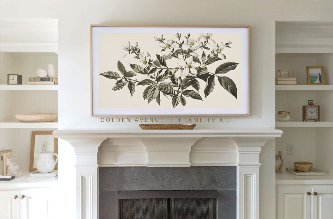 Vintage White Jasmine Botanical Illustration Neutral Wall Art Poster - Image 4