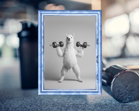 Funny White Alpaca Lifting Dumbbells Gym Workout Animal Poster