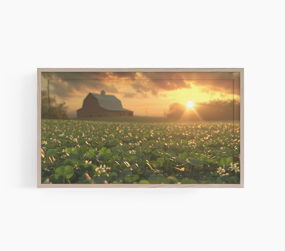 Rustic Barn At Sunset Over Golden Clover Field Farm Art Poster