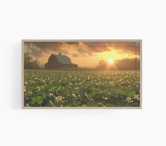 Clover Frame Tv Art Frame Tv Art Country Field Of Clovers Frame Tv Tv Art Cottagecore Frame Tv