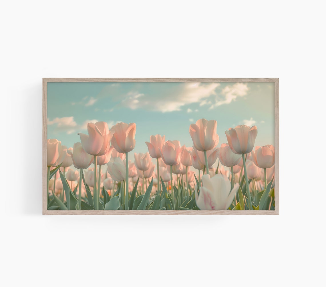 Pink Tulip Field Blooming Spring Flowers Blue Sky Photo Poster
