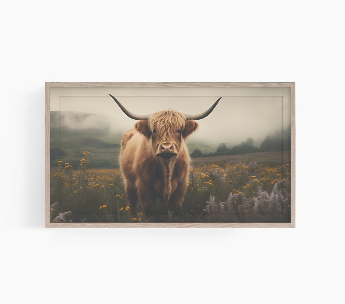 Highland Cow Farmhouse Art Print